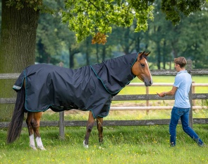 Aloga Equestrian Blankets