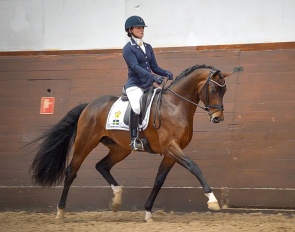 Minna Telde and Devin Franco GJ at the 2024 SWB Stallion Performance Test :: Photo © Michaela Swärd/SWB