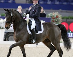 French Gilles Siauve on the Belgian warmblood stallion Windsor van 't Dashaegeveld (by Ferro x Galoubet)