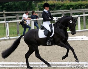 Ines Westendarp and Furstenball at the German WCYH selection trial in Warendorf :: Photo © LL-foto.de