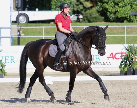 Heidemarie Dresing from Germany and Horse24 Dooloop (by Dressage Royal-Rouletto) have dominated Grade 2 this year.Will Riesenbeck become their medal hunting ground?