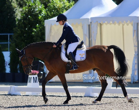The stretch is a challenge for many Grade I riders, but Anita Johnsson of the Swedish team manages it beautifully with Currant LA following her hands.