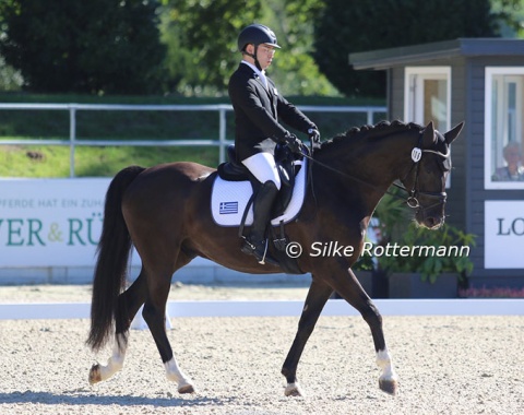 Sole Greek representative Michail Kalarakis on the by far youngest horse of the class. Spanish CDE bred Eros CS (by Espriwall x Delinger) helped his young rider to a top ten placing (9th) in the individual competition