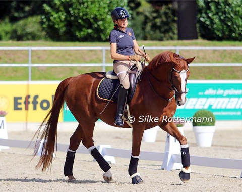 Belgian stalwart Barbara Minecci, who competes in Grade III, and Stuart getting into the swing in the competition arena which they could use for a 20-minutes-familiarisation