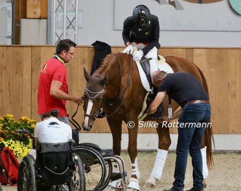 Barbara Minneci’s Stuart getting made ready in the cool indoor arena by team Belgium for his first appearance in Riesenbeck.