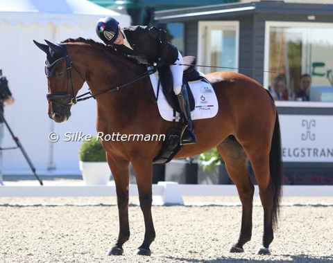 Between madness and genius: The very talented Mariebelle of Italian World champion Sara Morganti found the first centre-line in the individual test pretty spooky.  Although a tense ride, she masterfully managed her mare and instilled confidence