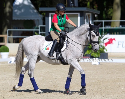 Portuguese Grade 1 rider Ana Isabel Mota Veiga and her 16-year-old Lusitano Convicto (by Tentador).