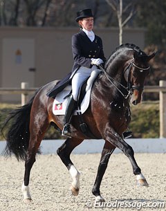 Antiguan Emily Ward Hansen and Picobello qualified for the 2012 Olympic Games. This pair got their final points for the Olympic Rider Ranking at the CDI Vidauban :: Photo © Astrid Appels