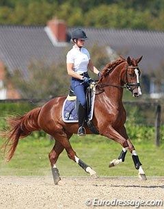 Veronique van Beukelen on Silvia Rizzo's 3-year old Westfalian mare Blickfang (by Belissimo M x Furst Piccolo)