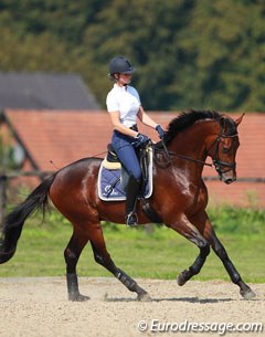 Veronique van Beukelen on Silvia Rizzo's 3-year old Oldenburg bred Donnerbaldo (by Donnerbube 2)