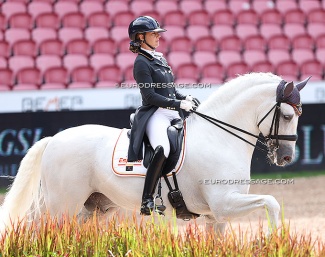 PRE stallion Romero de Trujillo at the 2022 World Championships Dressage :: Photo © Astrid Appels