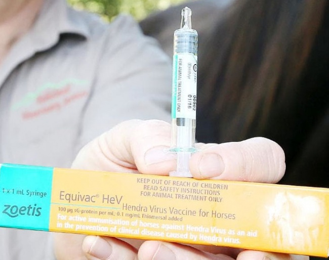 Zoetis' Hendra vaccine