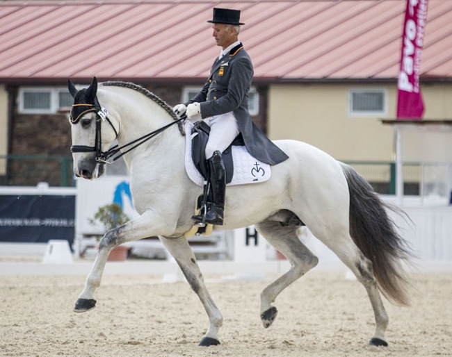 Juan Antonio Jiménez Cobo and Euclides MOR at the 2018 CDI Segovia :: Jimenez: "He has an excellent character. He is sweet but always attentive to his surroundings; he is a very, very noble stallion. He likes to show off. He likes to compete, together with Orgullose MOR he travels very well.”