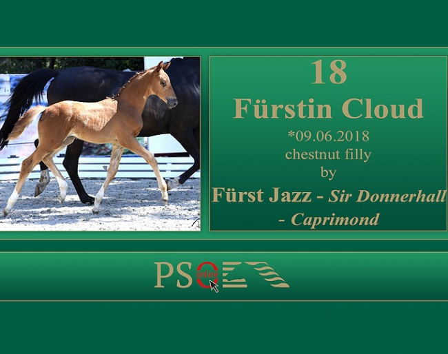 Fürstin Cloud (by Fürst Jazz x Sir Donnerhall)