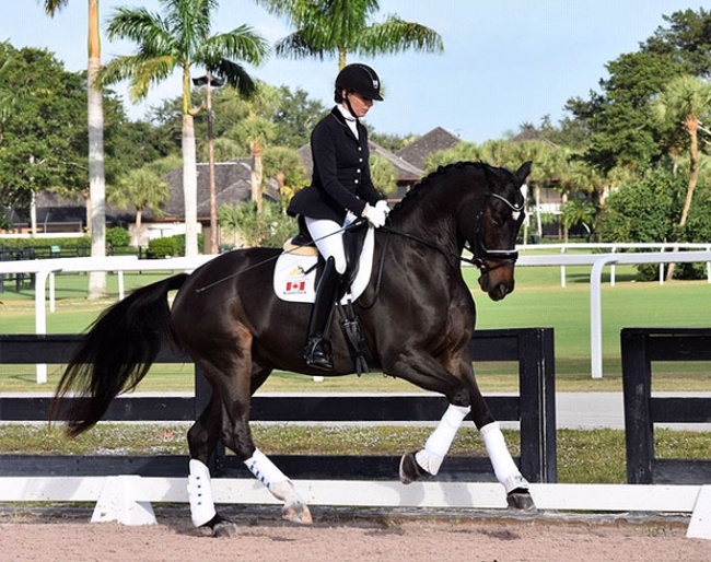 As You Wish, who was ranked in the six-year-old division with Shannon Dueck, a Canadian residing in Loxahatchee, FL :: Photo © Carmen Franco