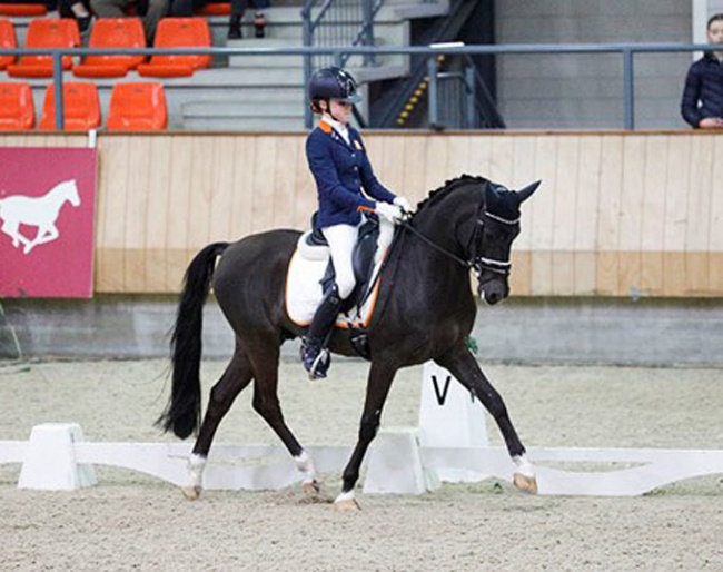 Evi van Rooij and King Stayerhof's Jango at the 2019 Dutch Indoor Pony Championships :: Photo © Digishots
