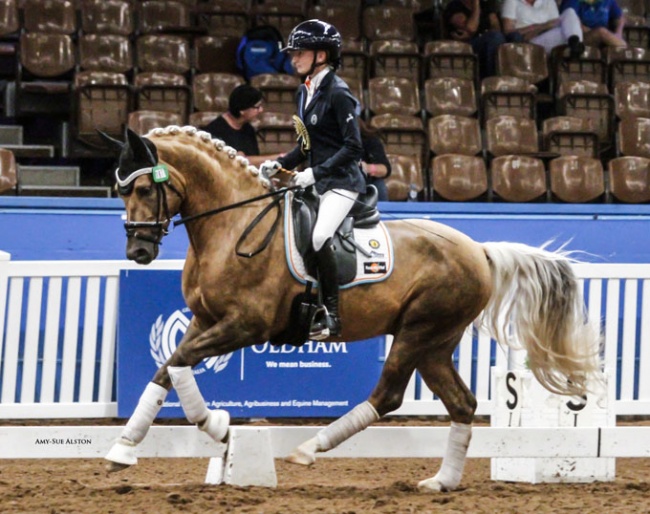 Sydney Evans and Glamour Rock BHI at the 2019 Australian Young Pony Championships :: Photo © Amy-Sue Alston