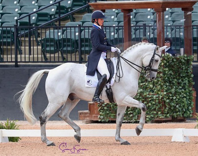 Adrienne Lyle and Harmony's Duval at the 2019 CDI Tryon :: Photo © Sue Stickle