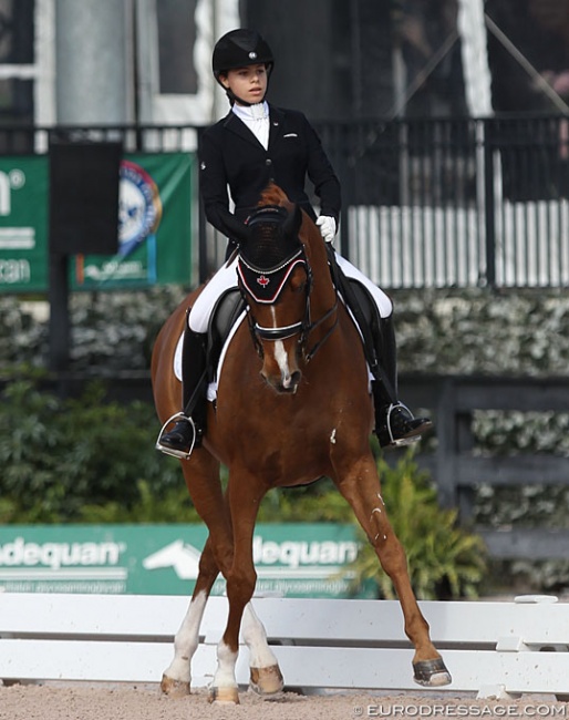 Lily-Rose Lemaire and World Lady at the 2019 CDI Wellington :: Photo © Astrid Appels