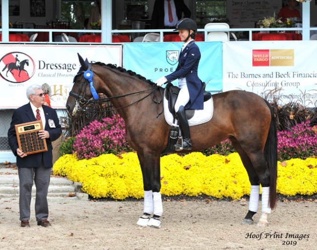 Hannah Irons and Scola Bella at the 2019 CDI-W Devon :: Photo © Hoof Print Images