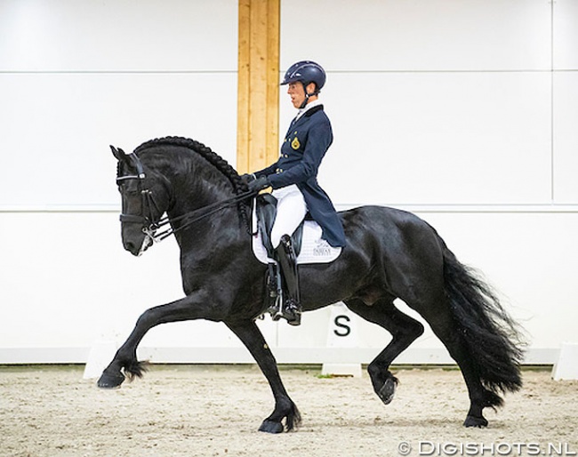 Marc-Peter Spahn on Elias at the  2019 European Championship for Friesian Dressage Horses :: Photo © Digishots