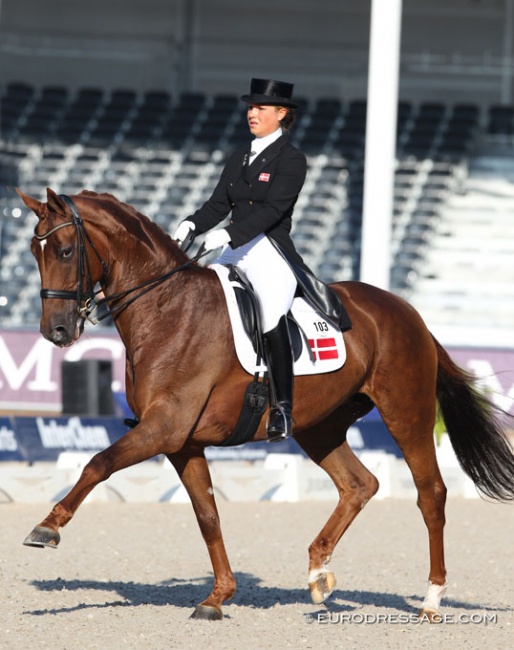 Anna Kasprzak and Langkjaergaard's Donna Fetti competing in the Under 25 division at the 2011 European Dressage Championships in Rotterdam :: Photo © Astrid Appels