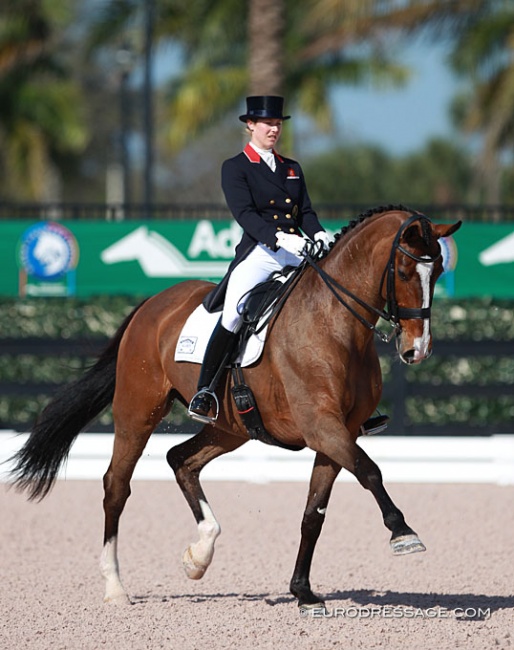 Laura Tomlinson and Unique at the 2015 CDI Wellington :: Photo © Astrid Appels