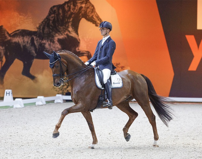 Marten Luiten competing at the 2023 Indoor Friesland CDI in Leeuwarden :: Photo © Digishots